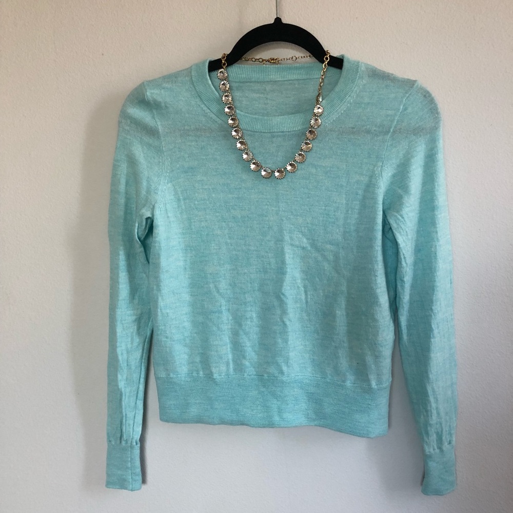 J.Crew Merino Wool Tippi Sweater